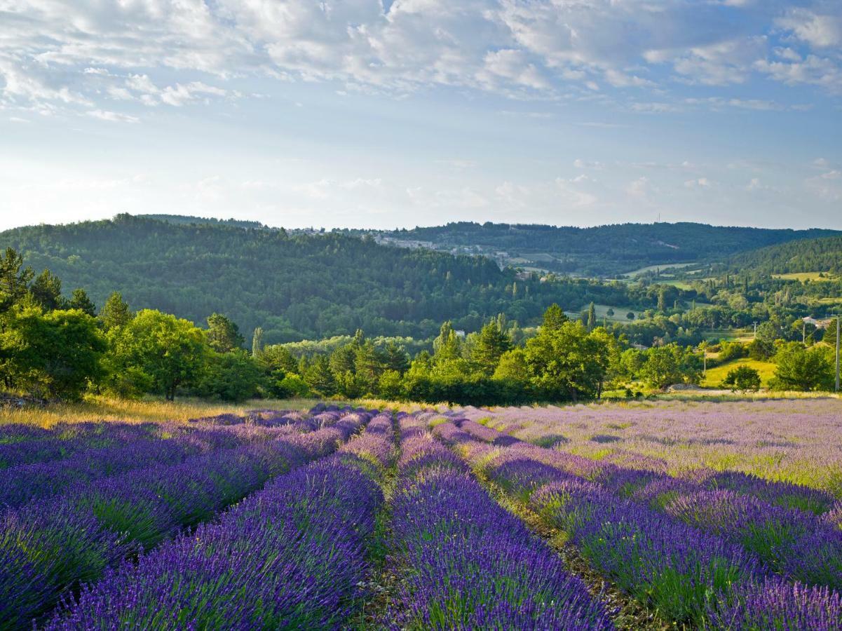 Le Jas De Verdolier Sault-de-Vaucluse Exterior foto