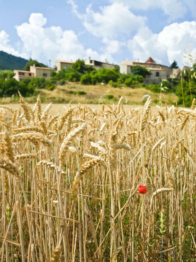 Le Jas De Verdolier Sault-de-Vaucluse Exterior foto